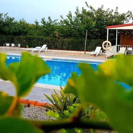 Bungalow 76 Camping San Jorge (Castellon)